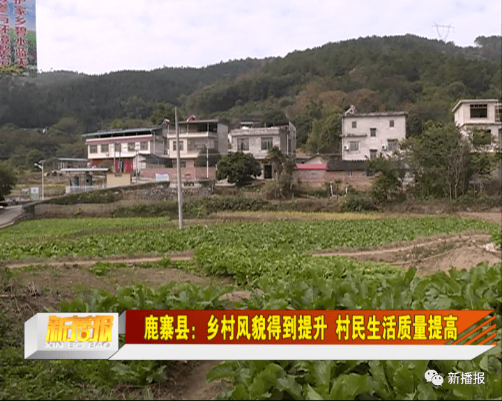 鹿寨县:乡村风貌得到提升 村民生活质量提高