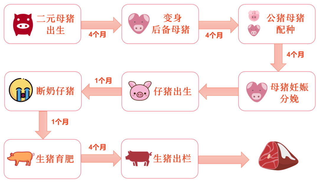 透视两万亿产值的生猪产业链