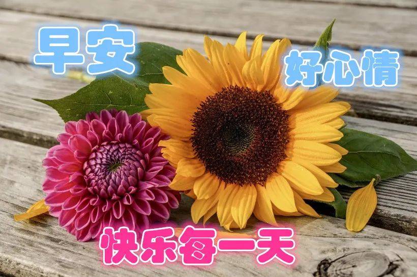早上好问候美图,早安问候语句.