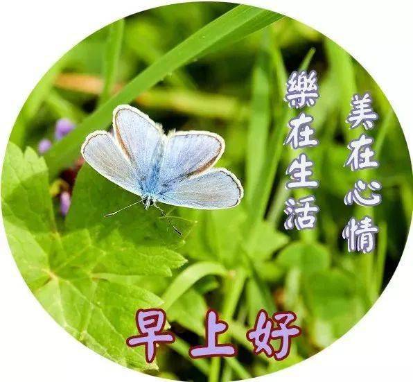 中老年专用表情包最新相信自己明天会更加美好！半岛体育(图5)