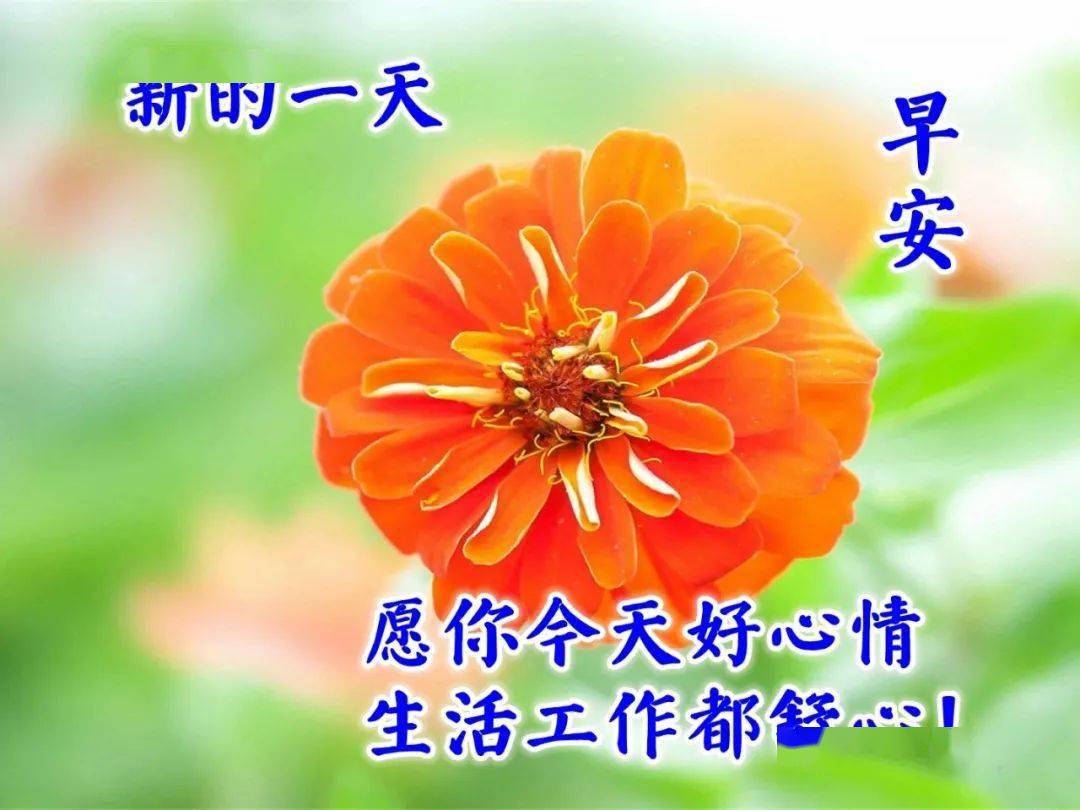 诚意满满的早安祝福图片 祝福好友平安顺心的早上好图片