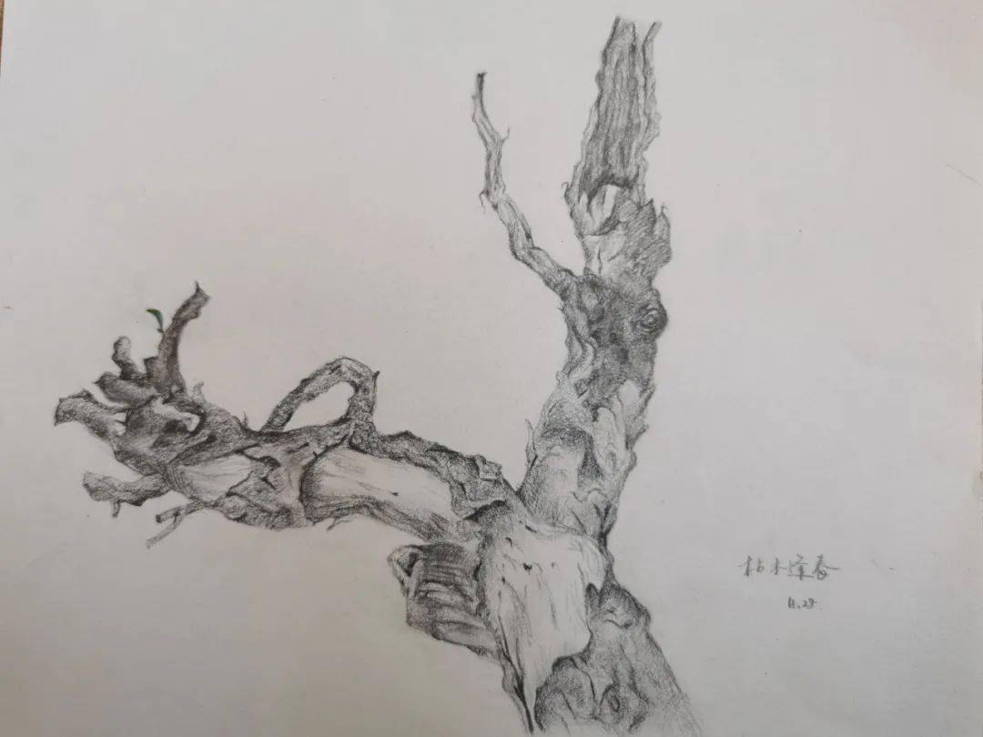 我画我心飞扬青春中学部心理绘画大赛获奖名单公告