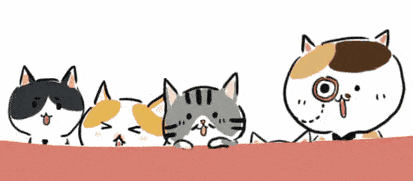 地点:柳汀街191号一楼服务大厅(公交7,9,20,28,302,330,354,357,503