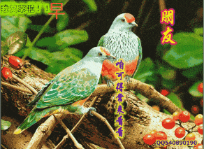 早上好问候美图,早安问候语句.