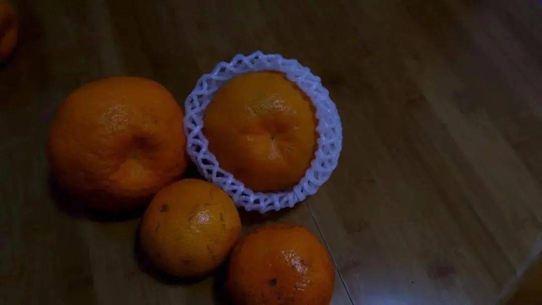 8b3f5c6fa6ed497cb4d49922826cfad8.jpeg