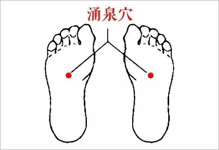 加一份肉桂打粉用香油调成5毛钱或者一块钱硬币大小饼状,贴足底涌泉穴