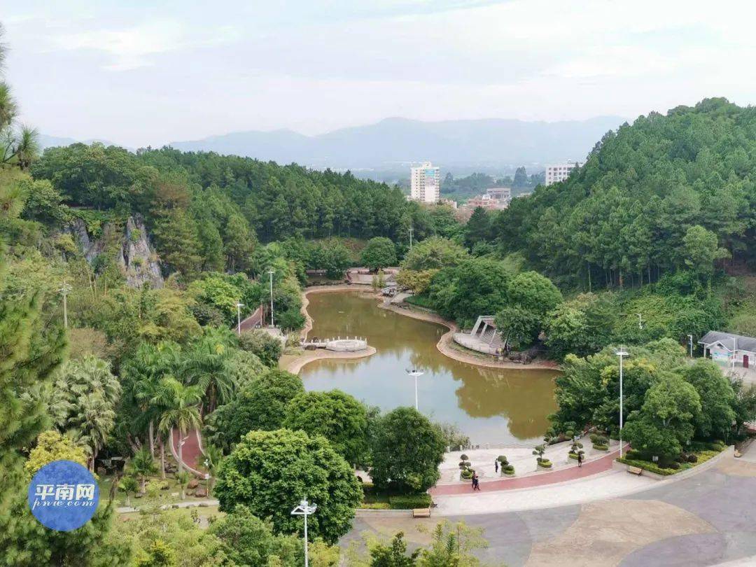 平南县2021总人口_2021年的平南县中学(2)
