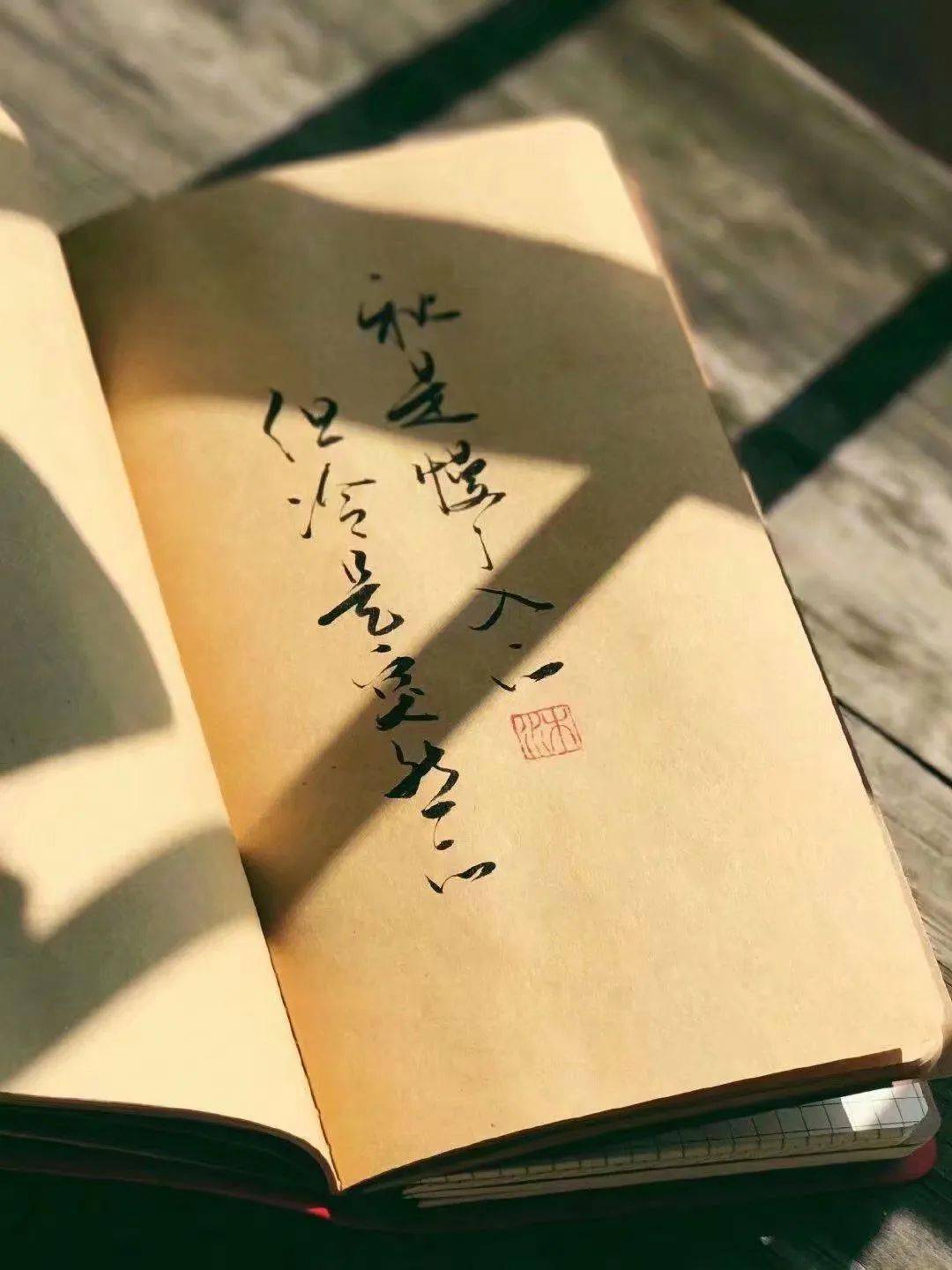 枉此生简谱_不枉此生蓝波简谱(2)