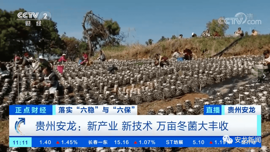 安龙县gdp_贵州安龙县县城照片