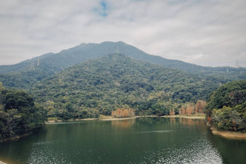 快来深圳盐田半山公园观花看海_建设