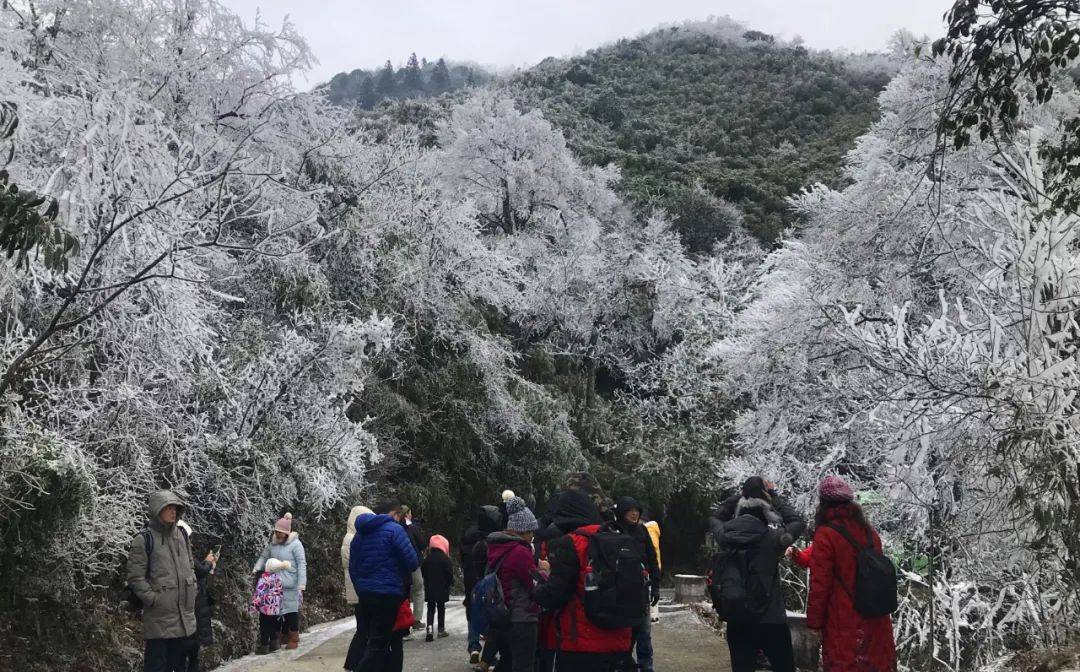 桂林人又可以去看雪了!_广西