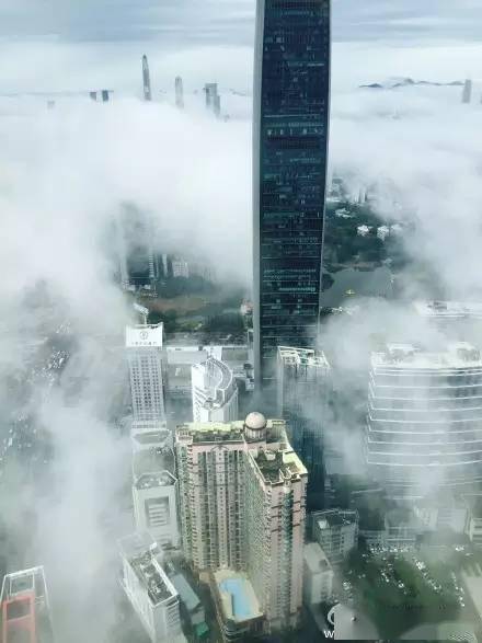 深圳现有人口多少人_深圳人口分布图