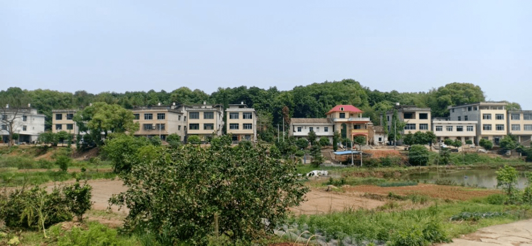 埭溪镇和练市镇2021gdp_湖州美妆小镇 打造 中国的格拉斯(2)