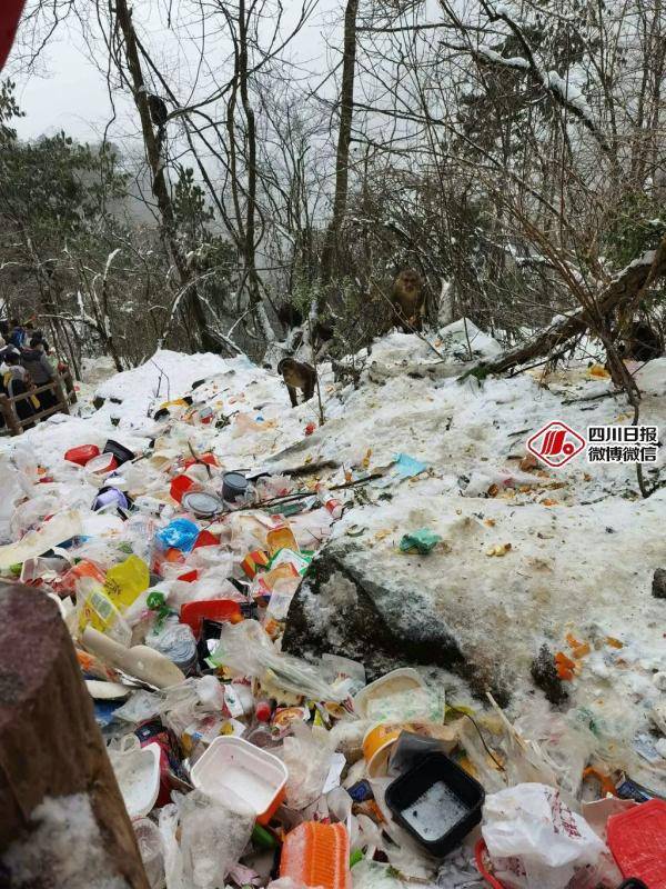 辣眼睛！游客走后，成都近郊一“雪山”变“垃圾山”！