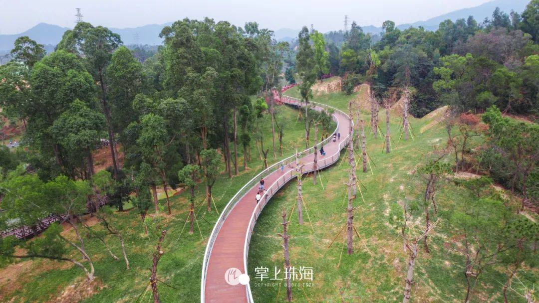 凤凰山山地步道 香山湖示范段 "云栈桥"移步异景 将香山