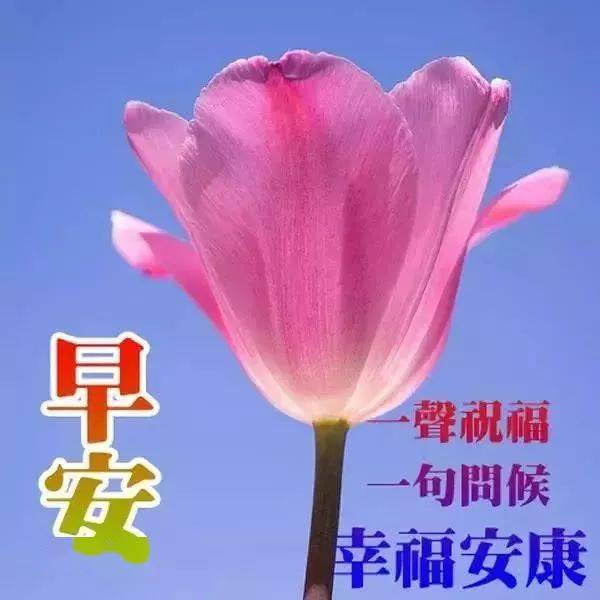 2021年1月6日最漂亮早上好动态表情图片大全,早晨好动图美图大全