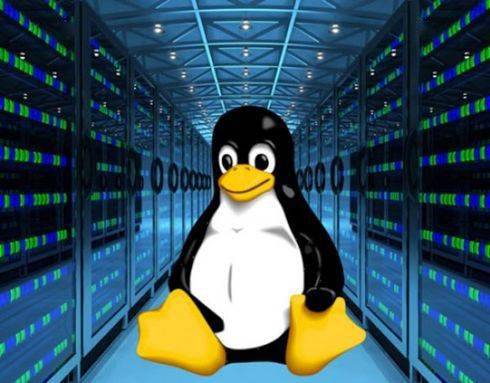 如何进行Linux系统移植，一个详尽的教程指南？