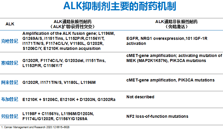 郝学志教授alk非小细胞肺癌靶向治疗大盘点