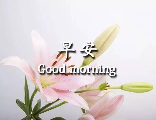 5b9ff775b26d4e1e962aa92c5277888c.jpeg