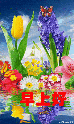 240_400 竖版 竖屏 