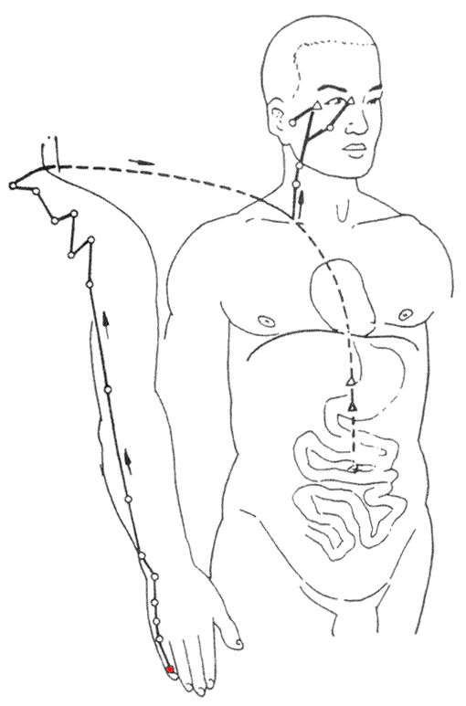 干货经络按摩配动画通则不痛超级实用