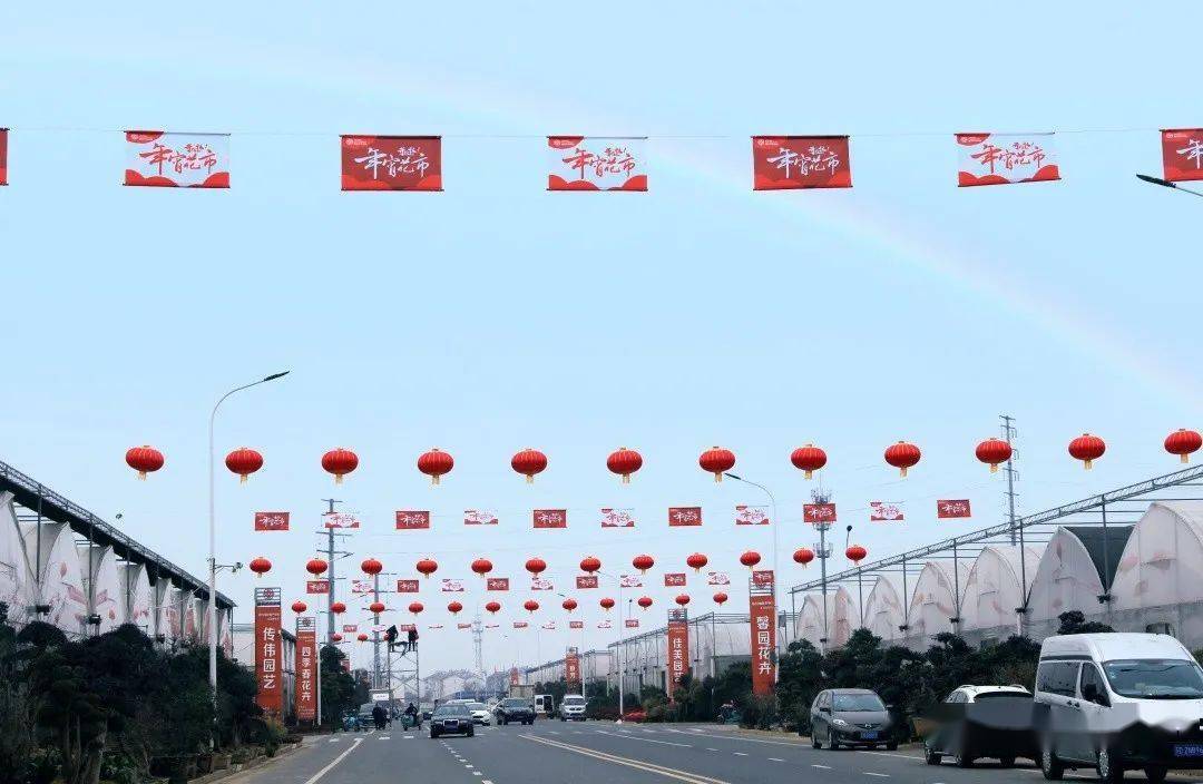 市场动态夏溪花木市场与广大商户共迎年宵花市