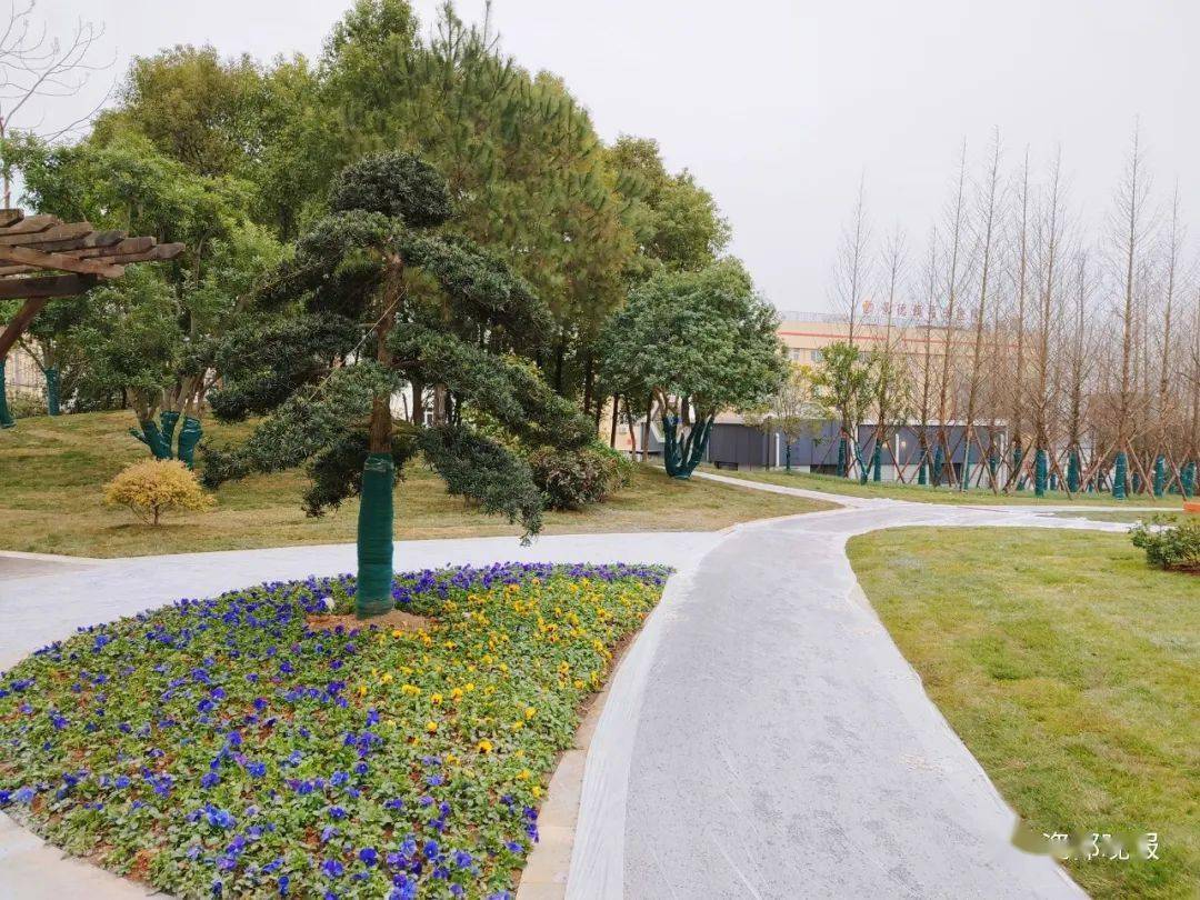 景德镇新增四座街心花园,让你转角遇到美