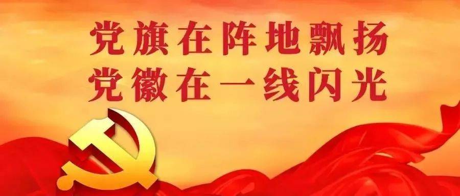 让党旗在疫情防控战场高高飘扬丨致邢台消防各级党组织和全体消防