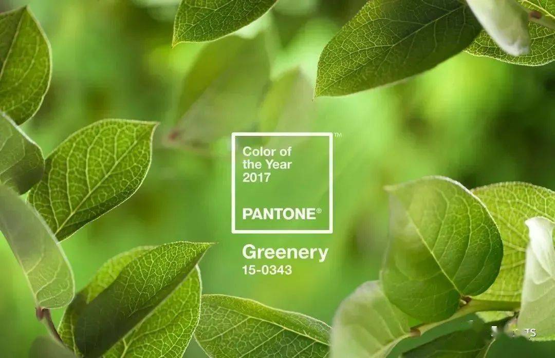 流行趋势丨pantone2021年度代表色公布:极致灰与亮丽黄,共同辉煌