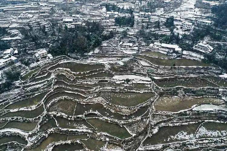 该区黑溪镇光明村的梯田农家被白雪覆盖,错落有致的梯田雪线与民居