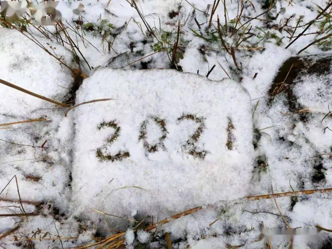 2021年南部第一场雪各地雪景