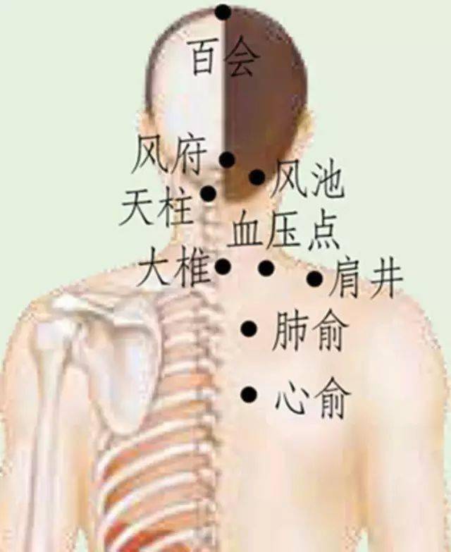 96894f75906b471eaed2c2948c6baa60.jpeg