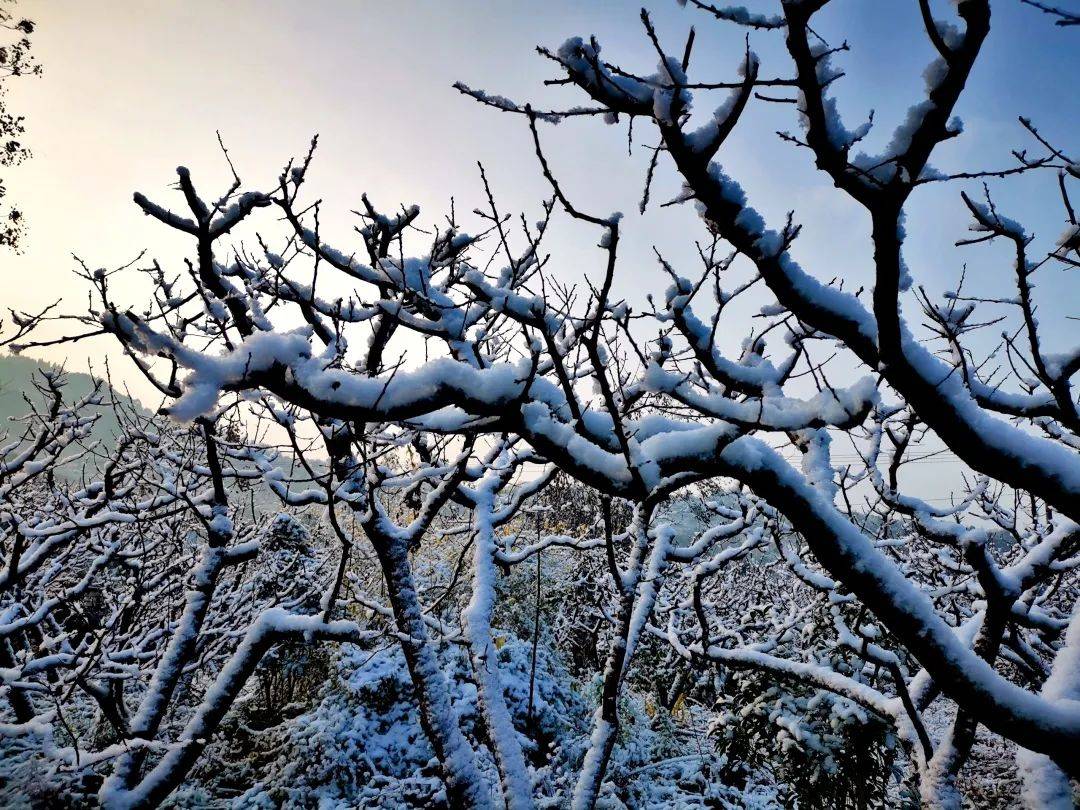 福洪影像 | 迎风潇洒天地宽,初雪问冬安