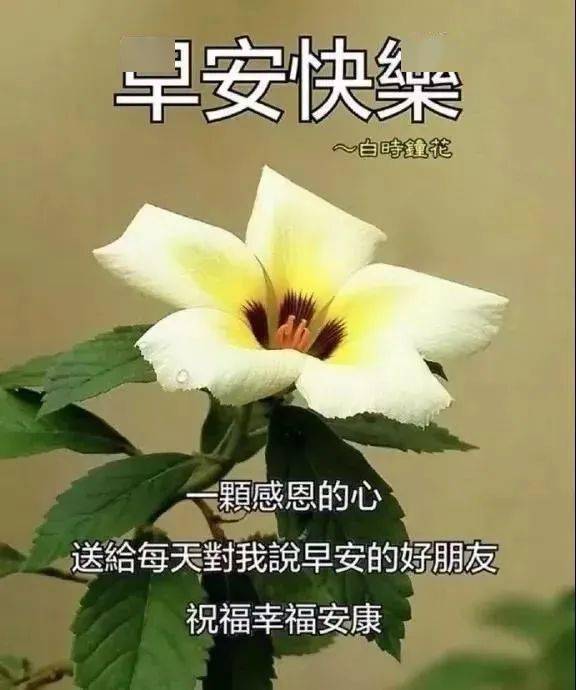 寒冬早上好漂亮问候图片短信祝福语早安问候祝福语图片带字