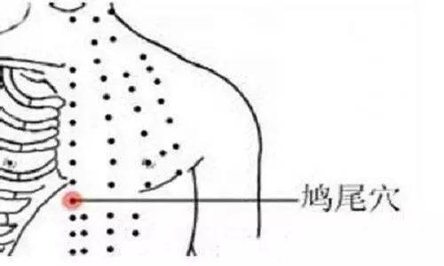 069b33be771e4043b339859b0c01446e.jpeg