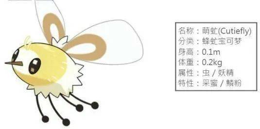 酷动物萌宠小课堂带你看会飞的绒球
