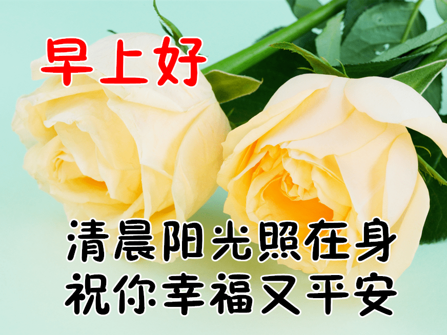 1月9日最漂亮早上好动态表情图片大全,早晨好动图美图大全