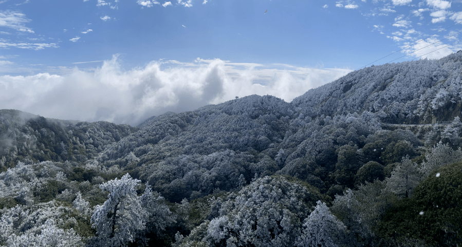 德化下雪了!雪景,雾凇,云海,银装素裹,美不胜收!