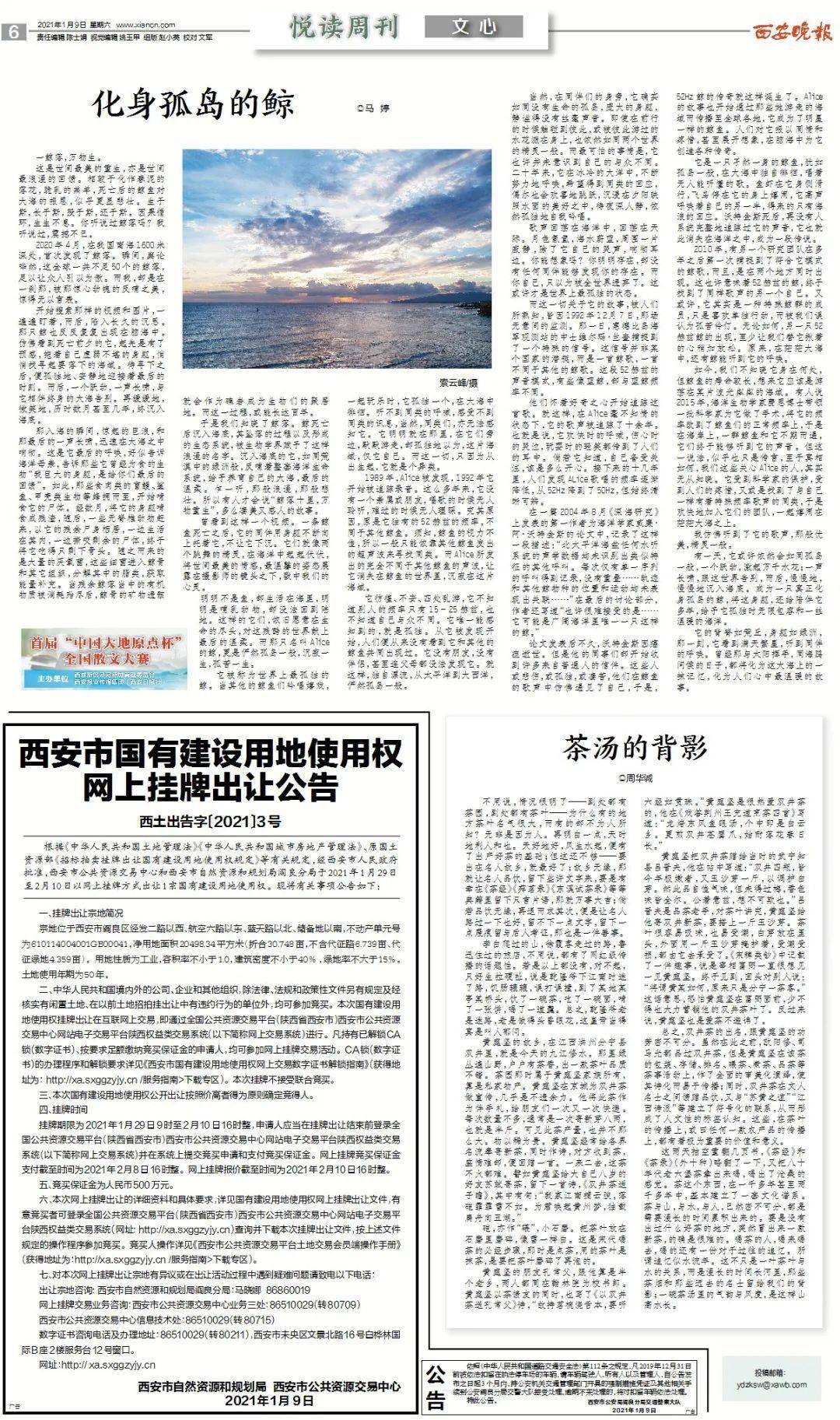 鲸落万物生曲谱_一鲸落万物生图片(2)