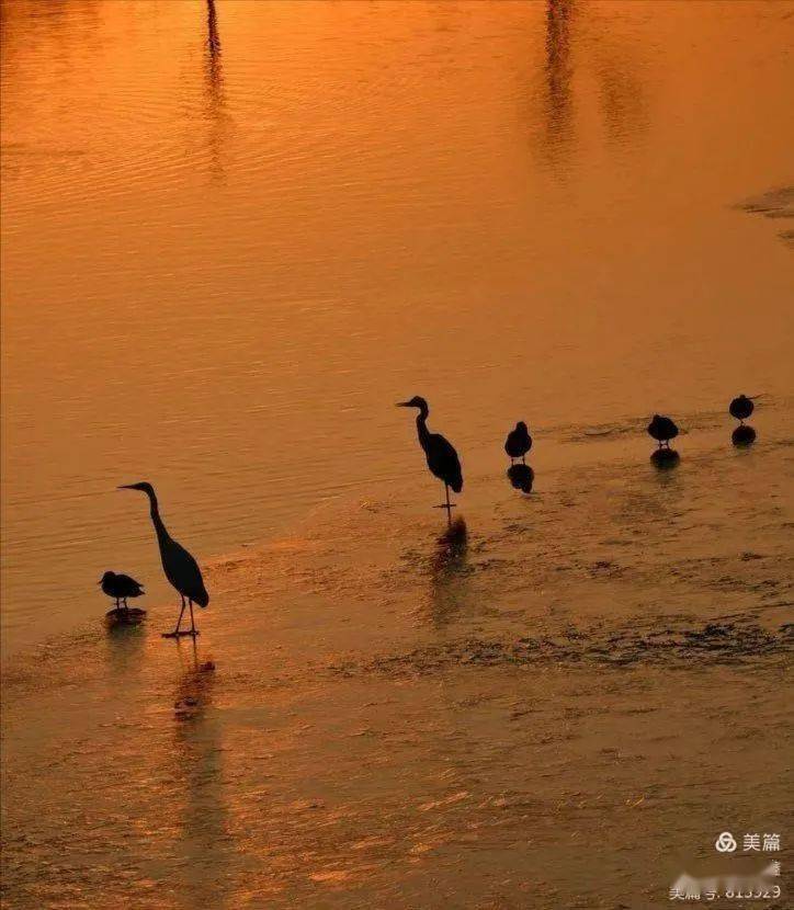 怎么在深水中站立 4ad566f2b61f47e68c0f4a2627093da6.jpeg
