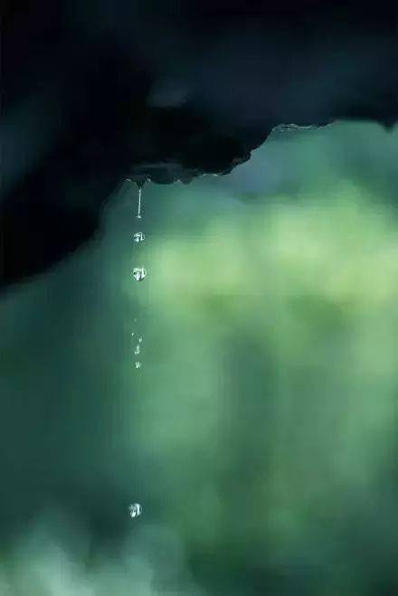 人生本过客,何必千千结.