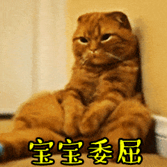 民航各部门表情包哈哈哈太真实了