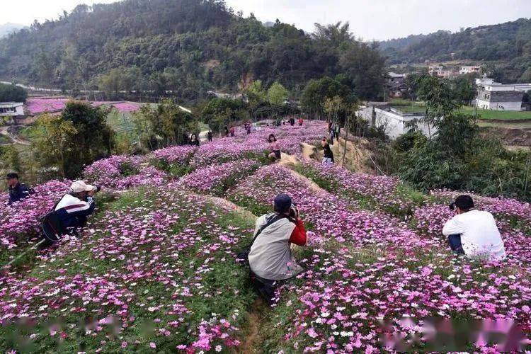 郁南县有多少人口_郁南县地图全图