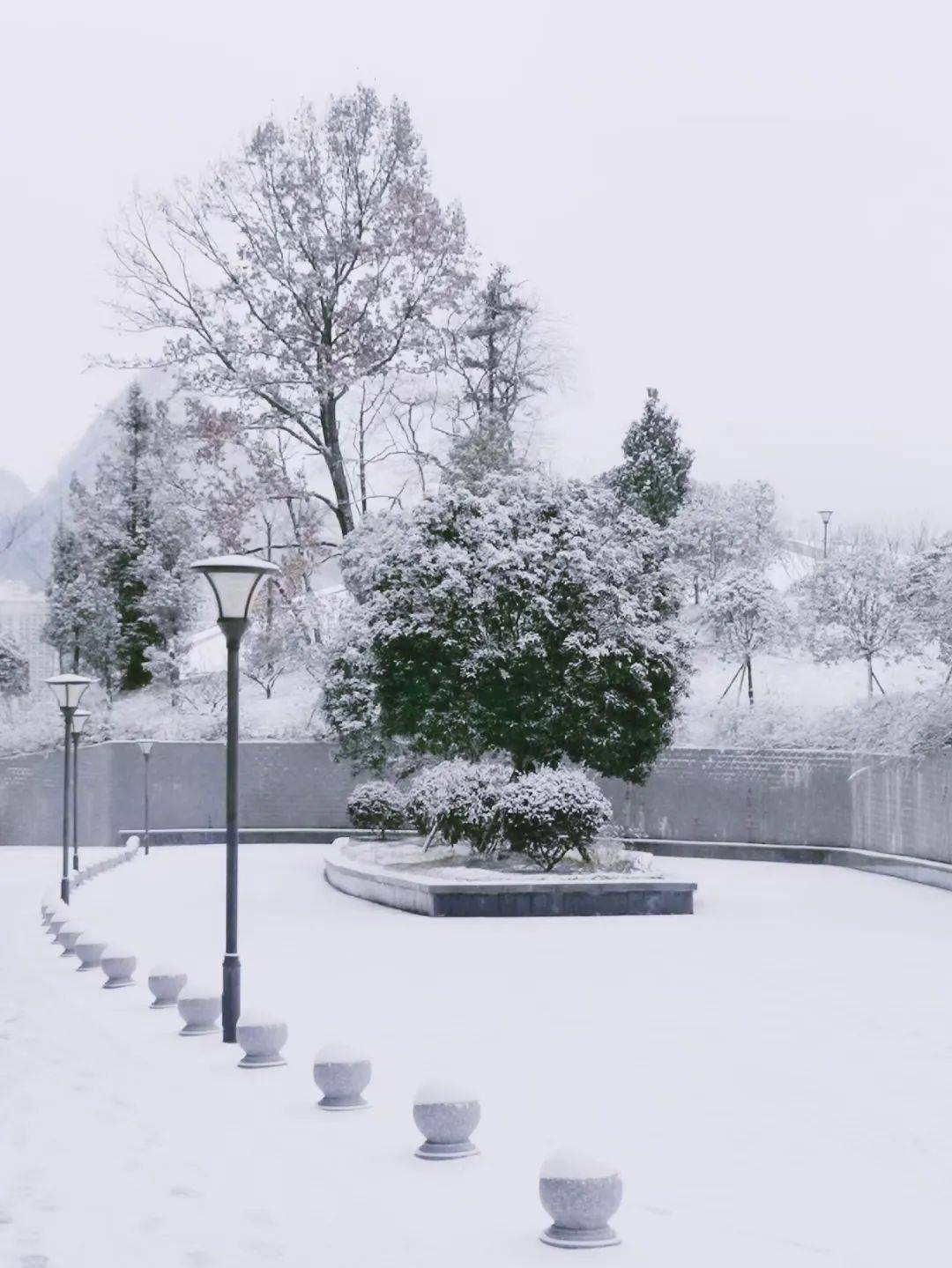 六盘水师范学院美不胜收的雪景大片来了!