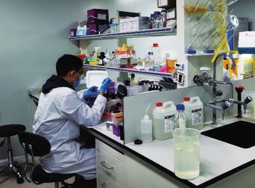 林欣|开发创新型细胞免疫产品 华夏英泰打造细分领域竞争力