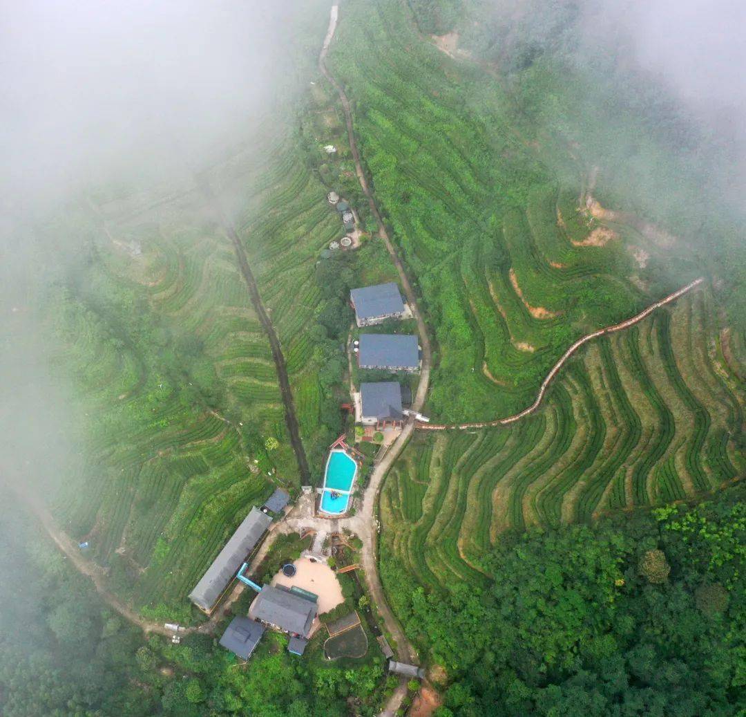 【广东清远】连山皇后山茶庄园,看"广东小雪乡",赏冰挂雪景,看网红