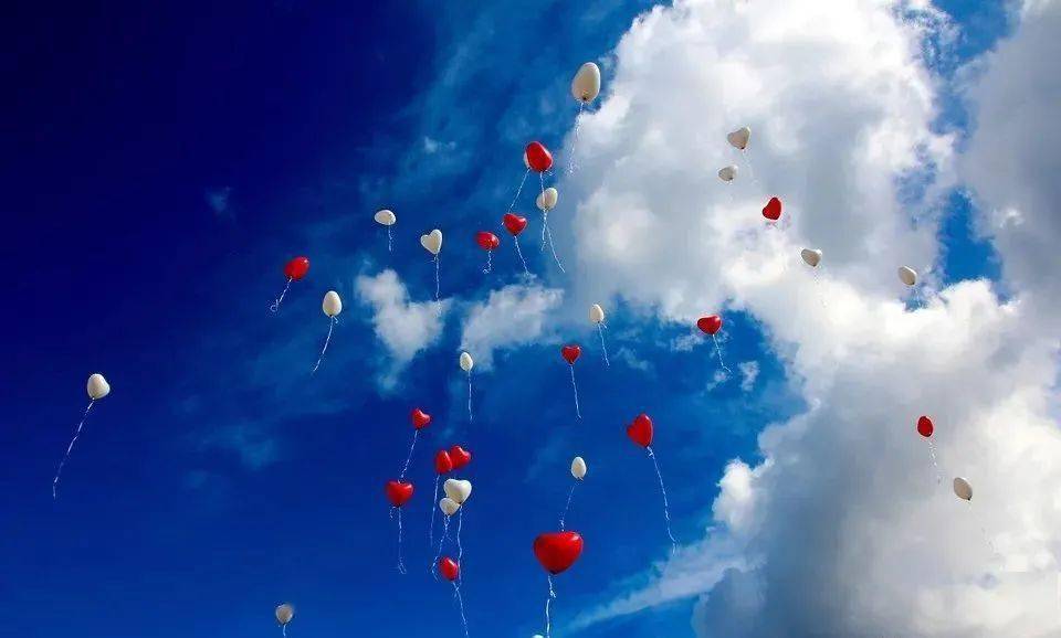 梦境解析，当一只猴子骑上你的肩膀，飞向天际——探寻梦境的深层含义