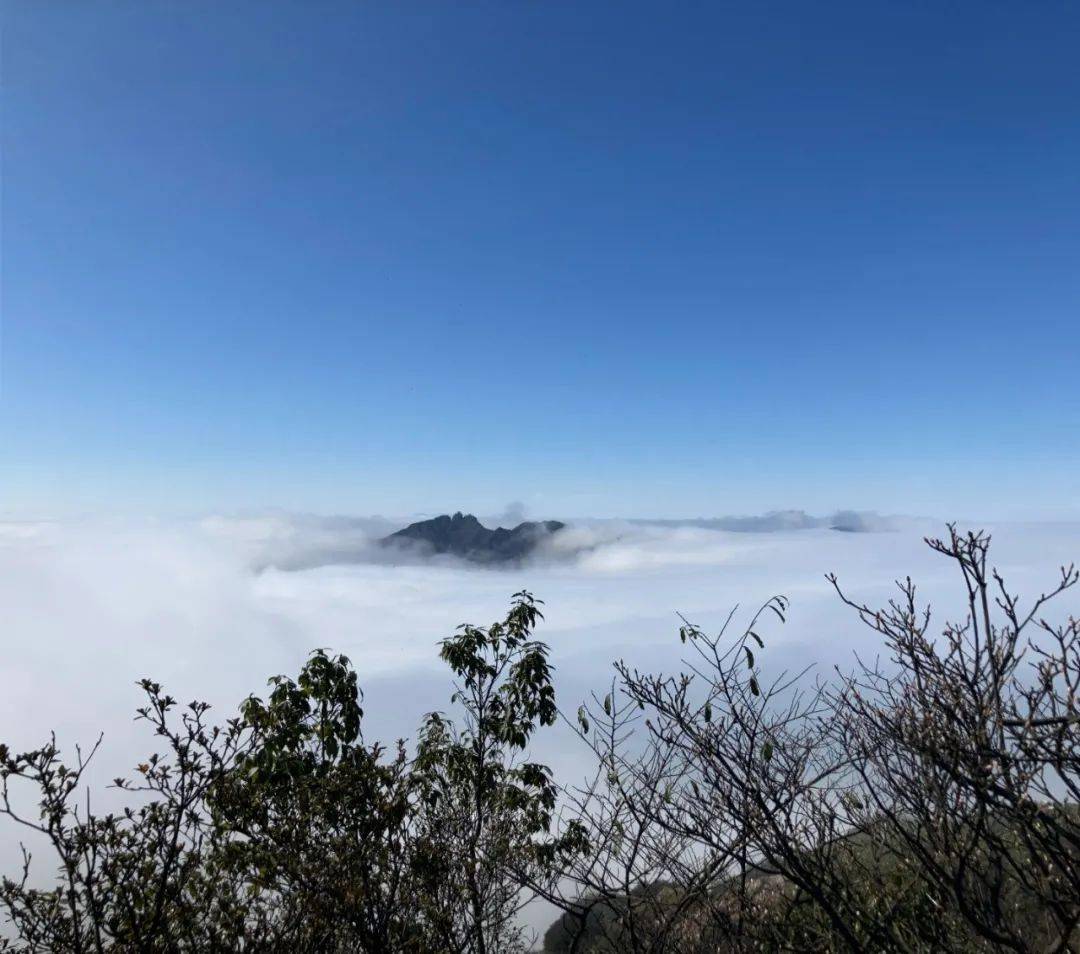 【广东清远】连山皇后山茶庄园,看"广东小雪乡",赏冰挂雪景,看网红