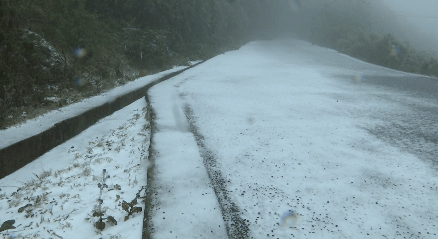 金平县2021年的第一场雪来啦！快来一起到“白头”！