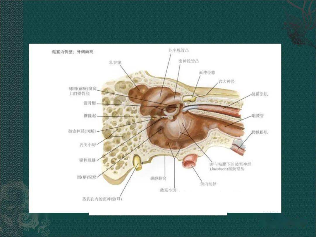 耳解剖及常见疾病影像表现